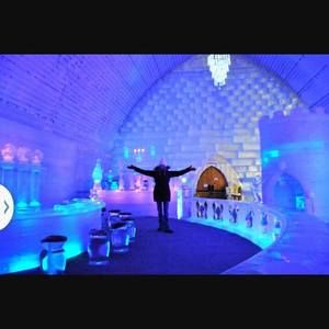 Meet your Posher, Marjorie